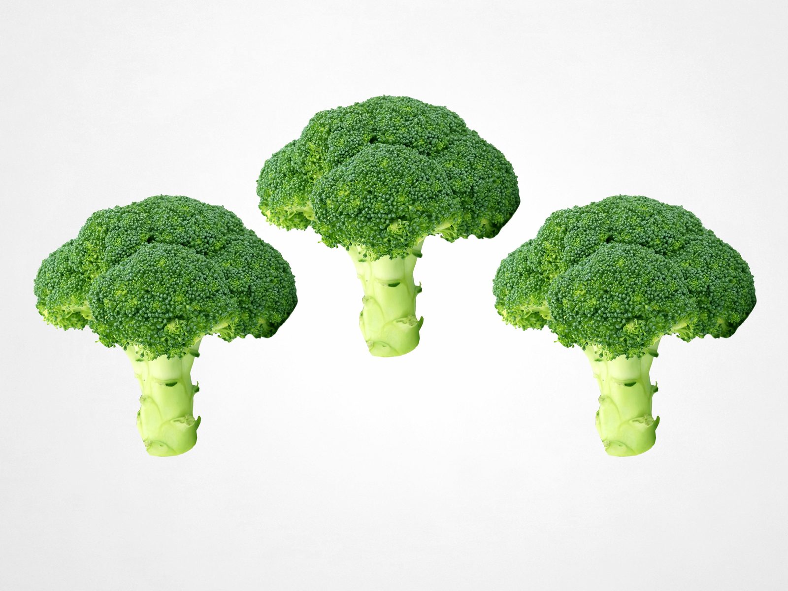 Bròcoli