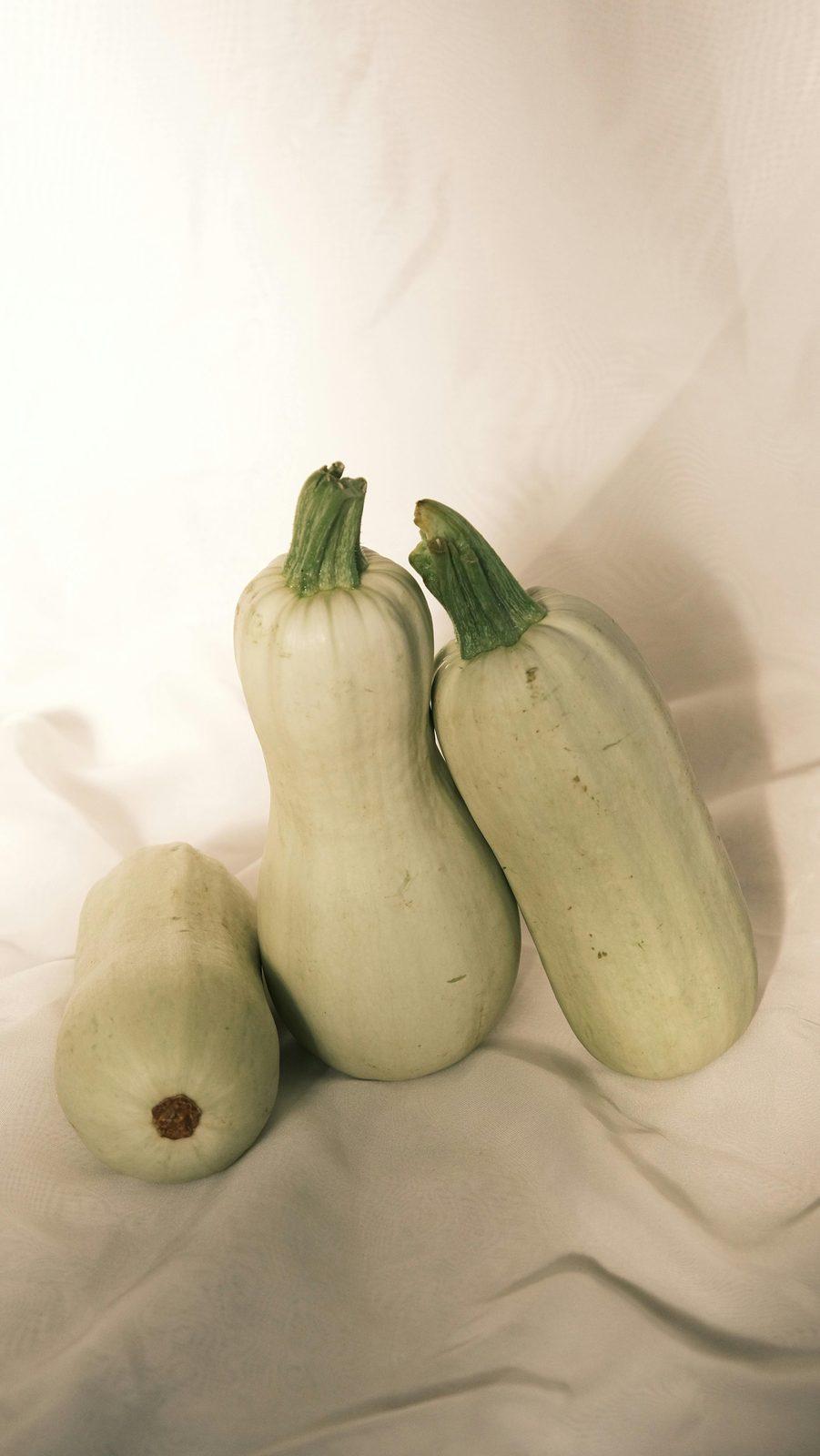 Carabassó