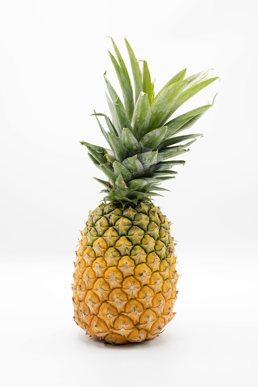 Pinya